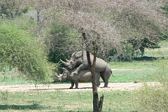 0260-Reis Zuid-Afrika2007